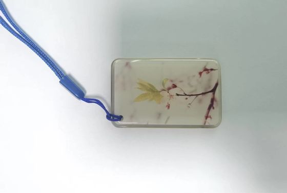 Étiquette époxyde de NFC des étiquettes 13.56Mhz de NFC d'ISO14443A RFID pour le système de contrôle d'accès